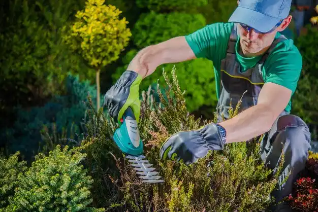 landscaping services Yutan